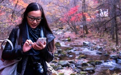 英国达人秀全集